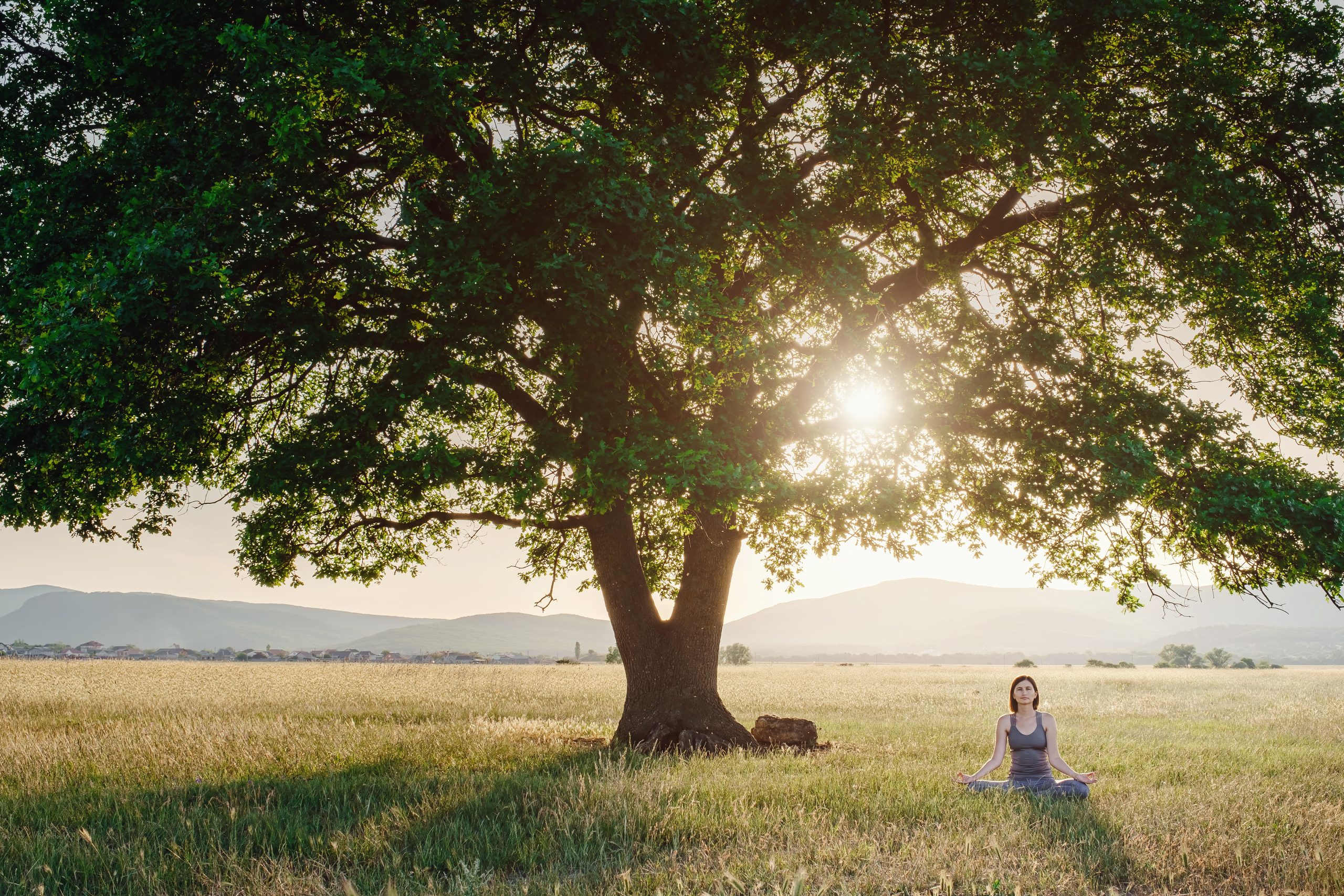 Attractive woman practices yoga in nature in summer.